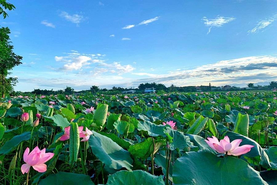 白河商圈4