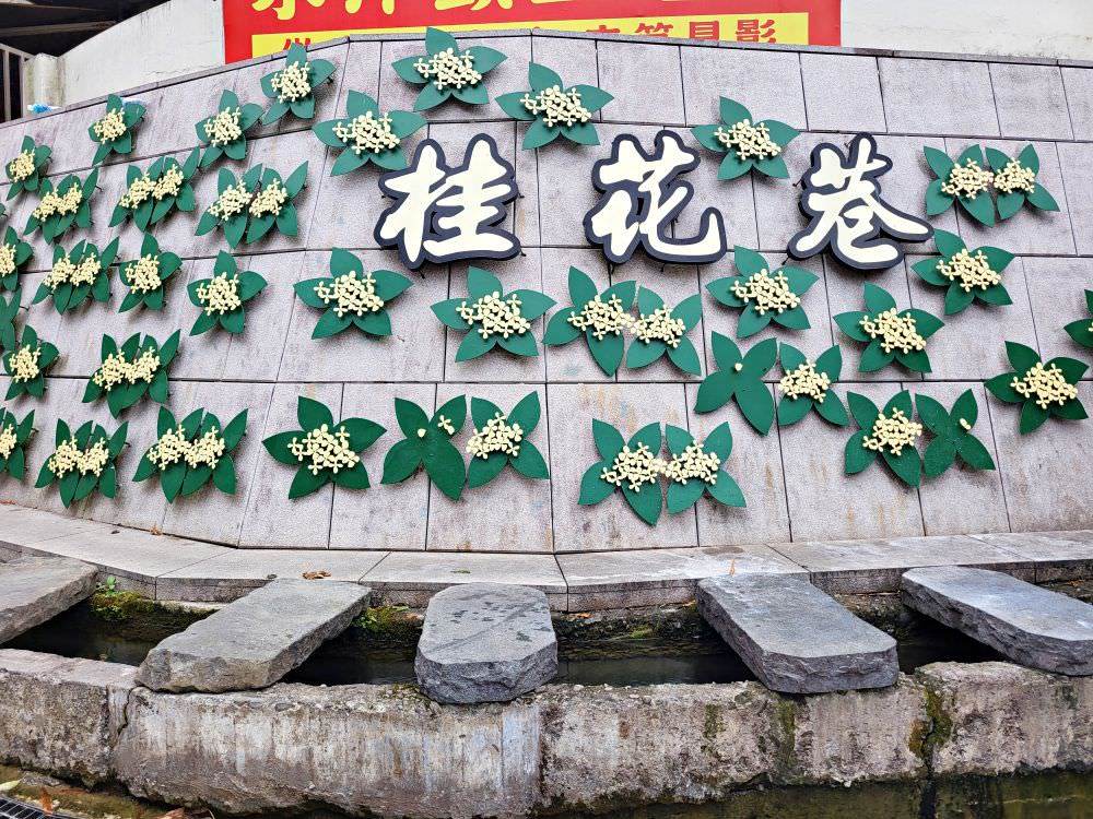 桂花巷商圈3