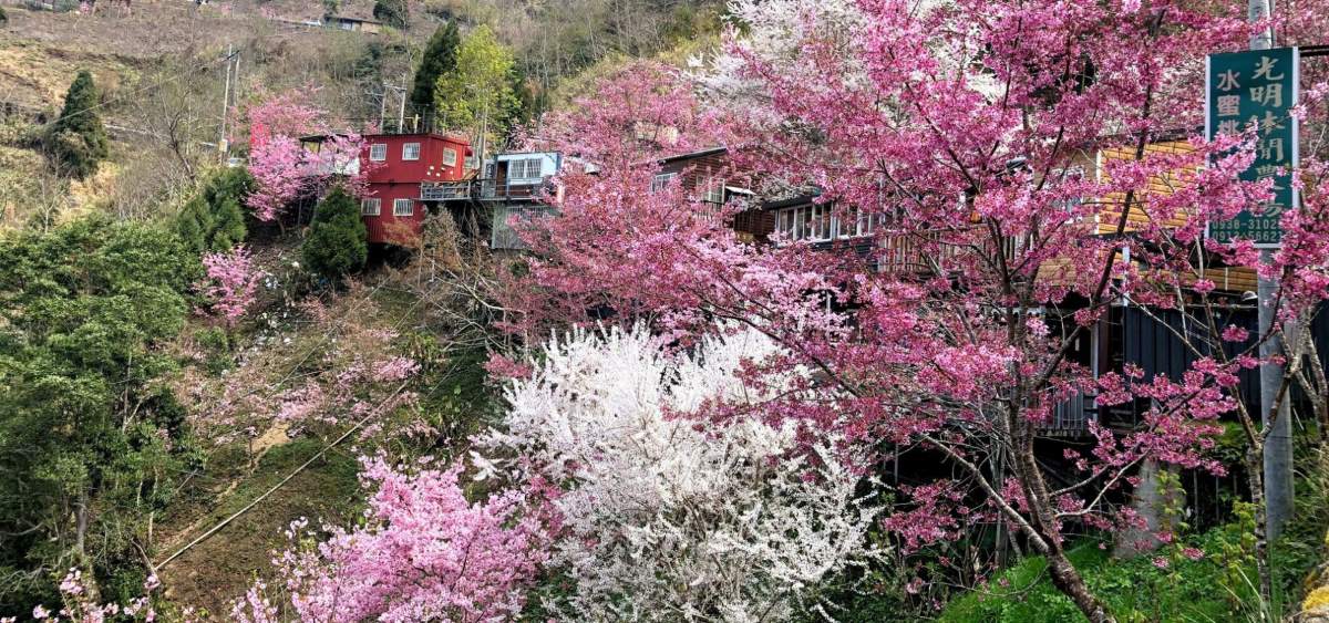 拉拉山商圈
