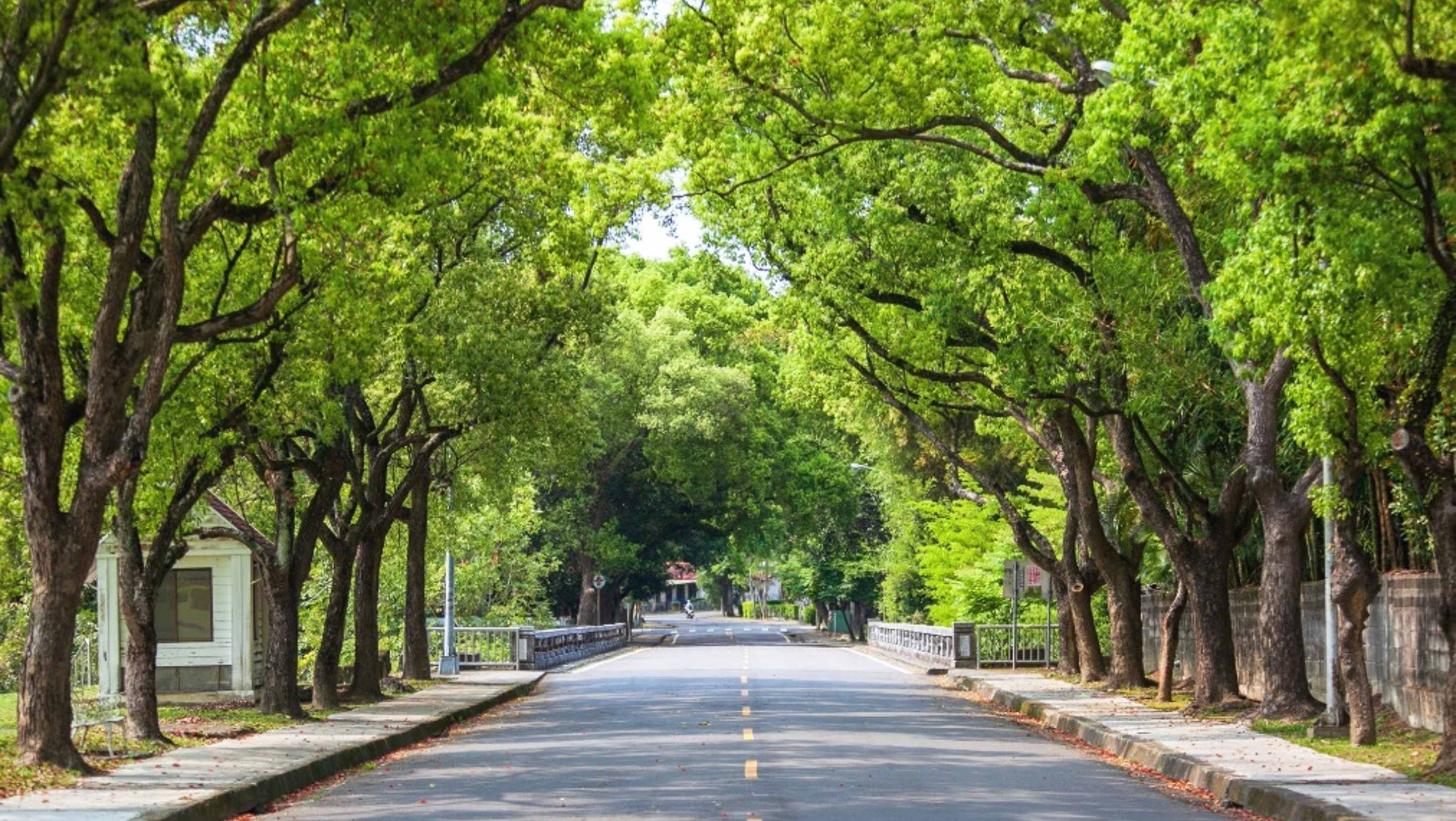 113年全國卓越商圈獎-南投縣中興新村商圈