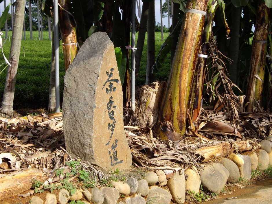 名間鄉松柏嶺商圈3