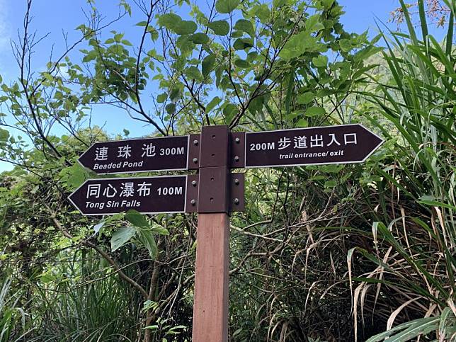 雲林縣古坑鄉草嶺形象商圈4