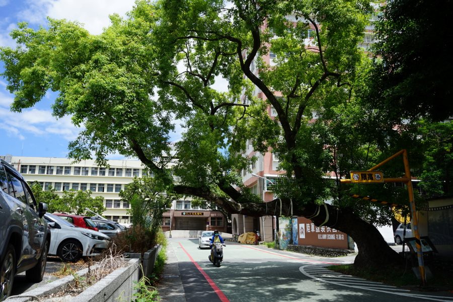 花蓮市百年老街商圈3